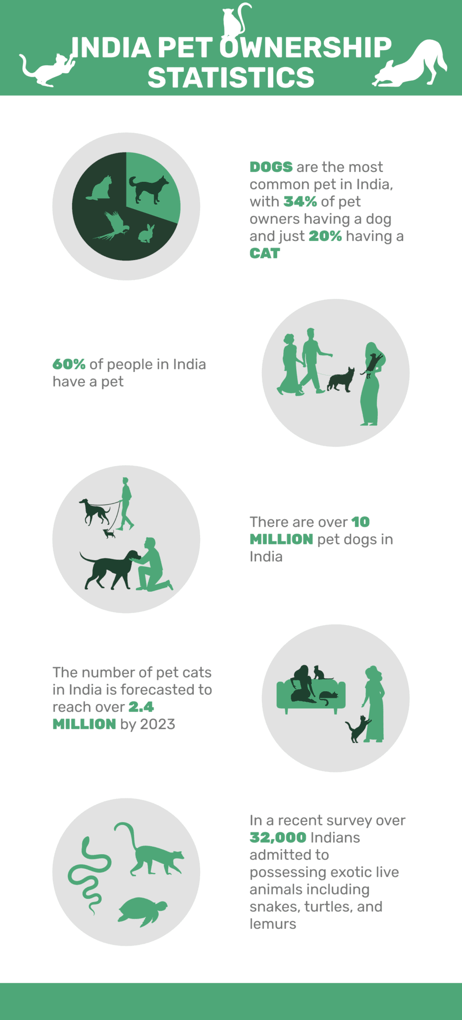 14 India Pet Ownership Statistics to Know in 2024 Pet Keen