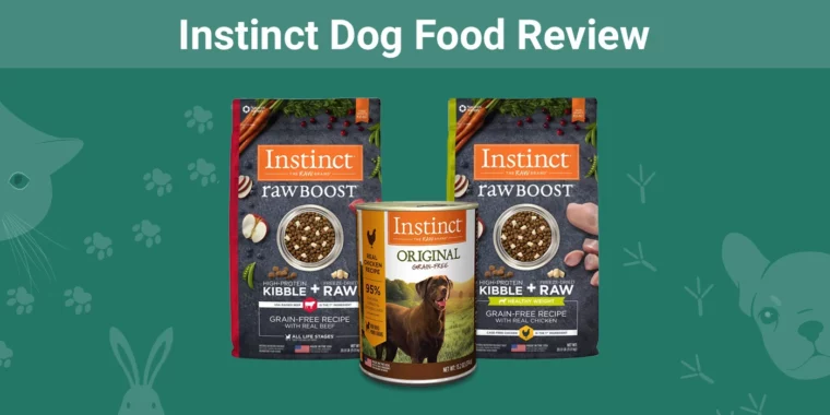 Instinct Dog Food - Featured Image