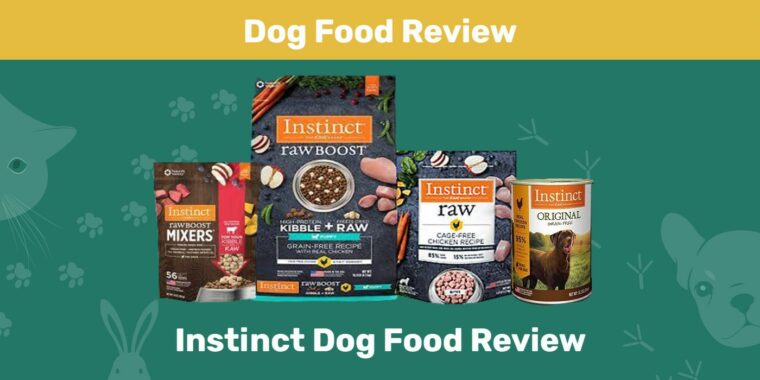 Opinión sobre la comida para perros Instinct
