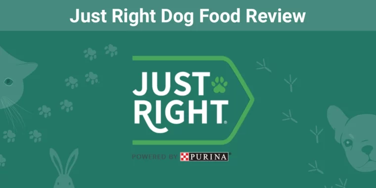 Just Right Dog Food - Featured Image