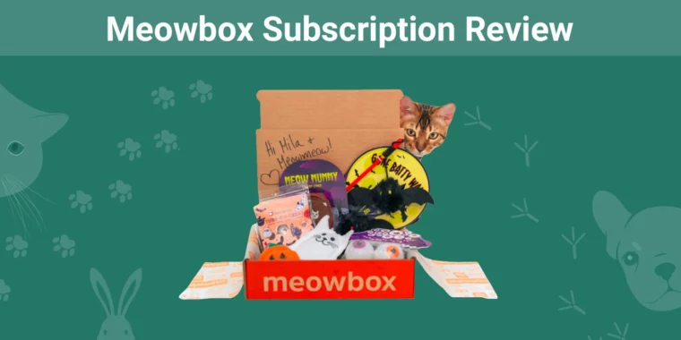 Meowbox Subscription - Featured Image
