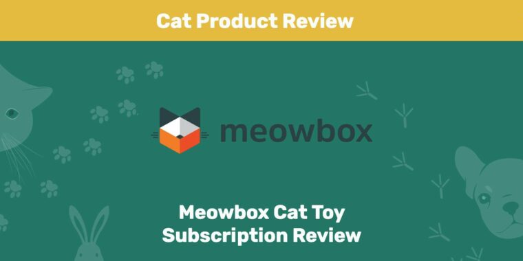 Meowbox Subscription box Review