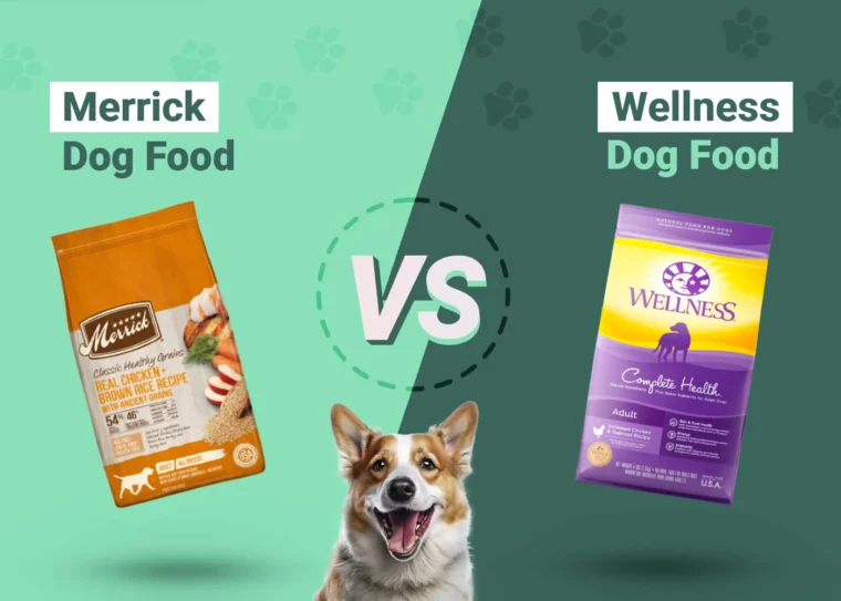 Merrick vs Wellness Dog Food - Featured Image