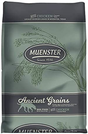 Muenster Ancient Grains with Chicken Dry Food