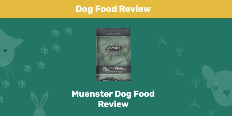 Muenster Dog Food Review
