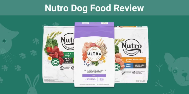 Nutro Dog Food - Featured Image