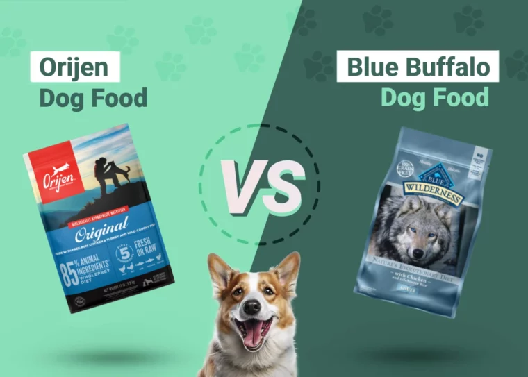 Orijen vs Blue Buffalo Dog Food - Featured Image