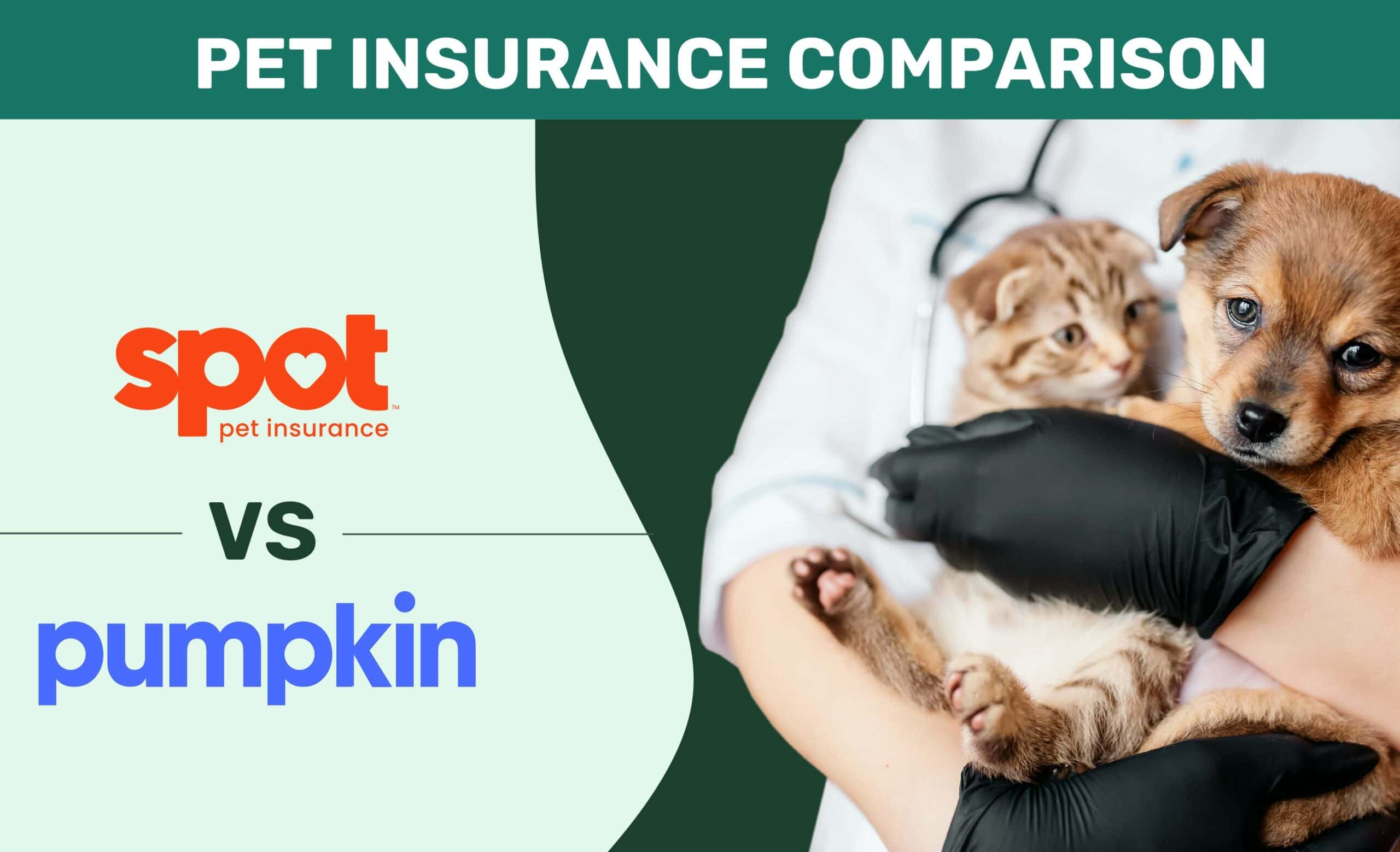 Spot vs Pumpkin Pet Insurance Comparison 2023: Pros, Cons & Verdict | Pet  Keen