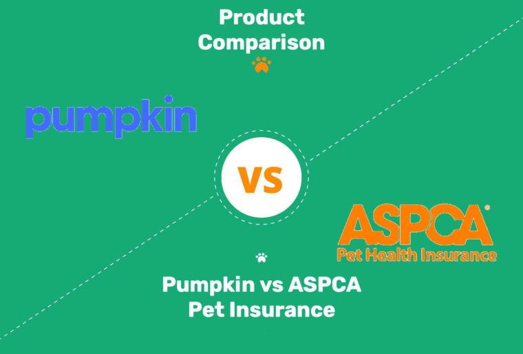 Gráfico destacado del seguro de mascotas Pumpkin vs ASPCA