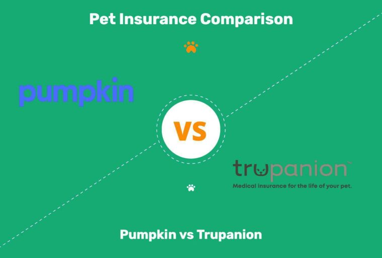 Pumpkin vs Trupanion Pet insurance Comparison