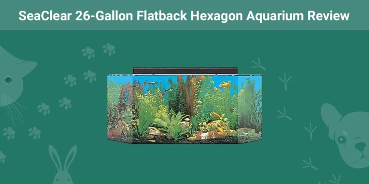 SeaClear 26-Gallon Flatback Hexagon Aquarium - Featured Image