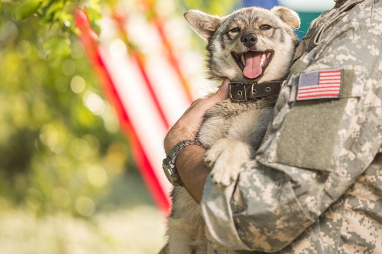 Soldier with military dog_PEPPERSMINT_Shutterstock