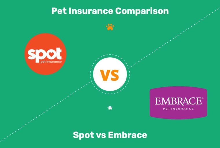 Comparación del seguro para mascotas Spot vs. Embrace