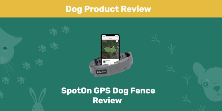 SpotOn GPS Dog Fence PK Featured Image 2