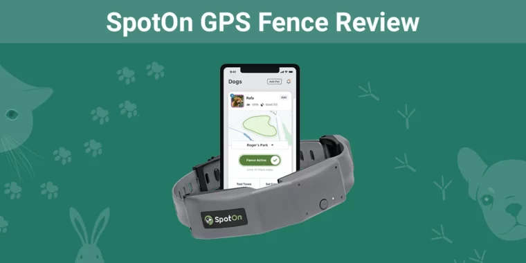 SpotOn GPS Fence - Featured Image