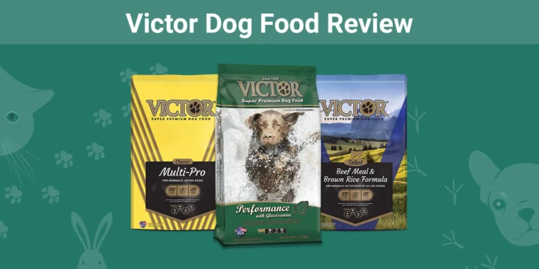 Victor Dog Food - Featured Image