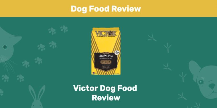 Revisión de comida para perros Victor
