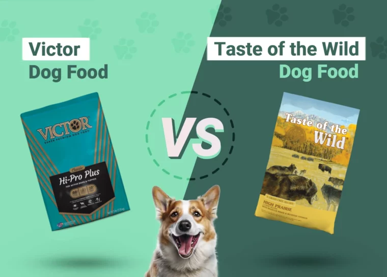 Victor vs Taste of the Wild Dog Food - Featured Image