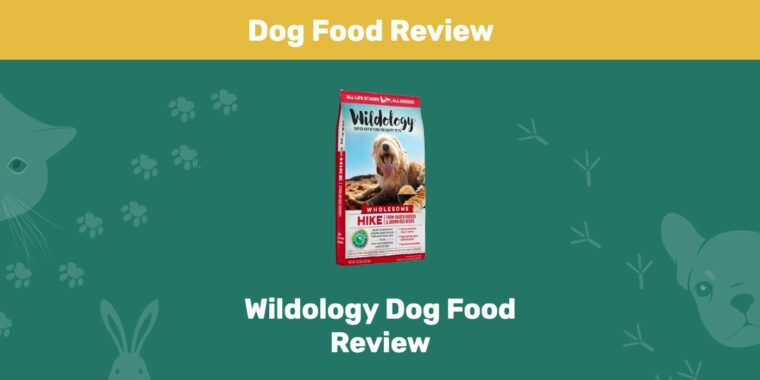 Wildology Dog Food Review