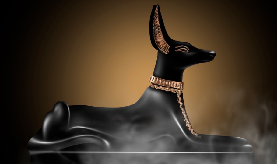 History of Dogs in Ancient Egypt (Facts, Culture & More) | Pet Kee