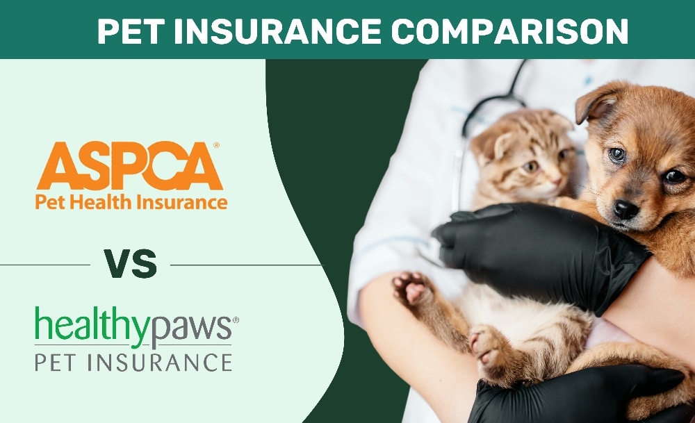 ASPCA vs. Healthy Paws Pet Insurance Comparison 2024 Pros, Cons