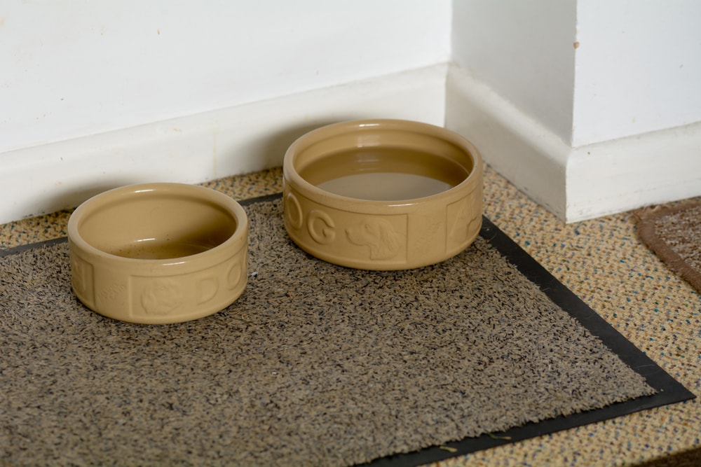 dog food bowl in a food mat