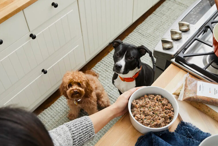 el dueño del perro alimenta a su mascota con la comida para perros del granjero