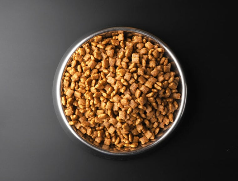dry pet food in a metal bowl
