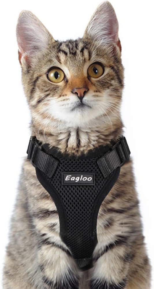 eagloo cat harness