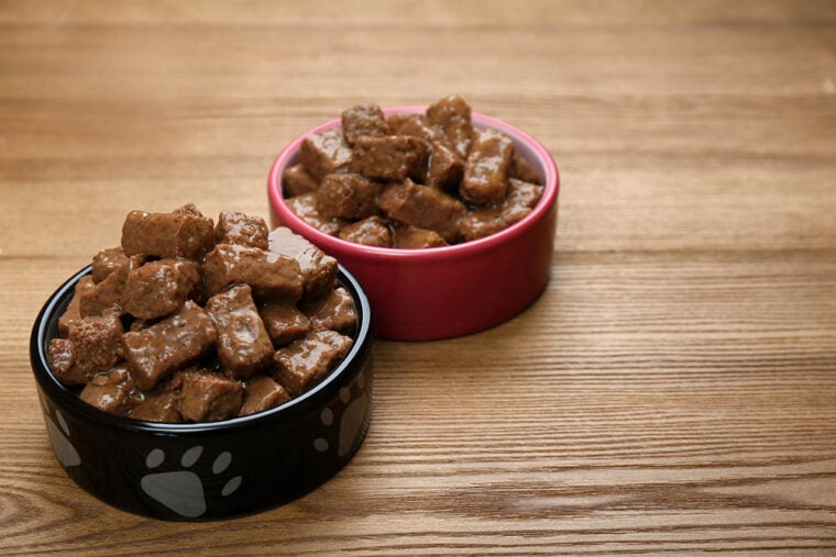 Can You Heat Up Canned Dog Food?