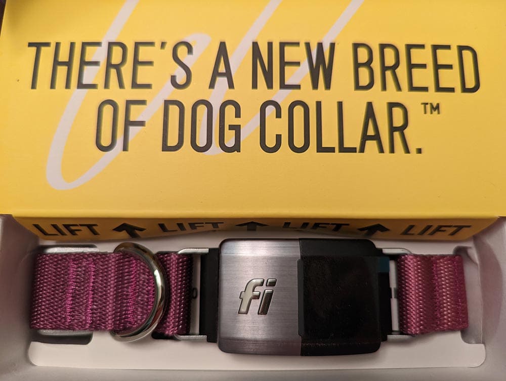 fi smart dog collar in a box