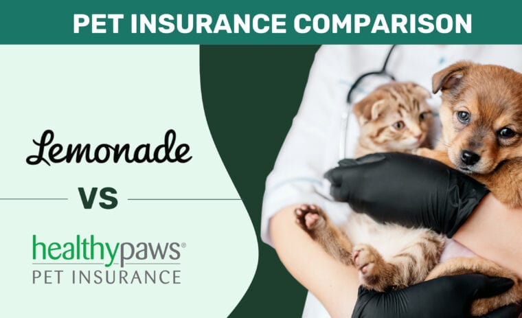Pet insurance comparison