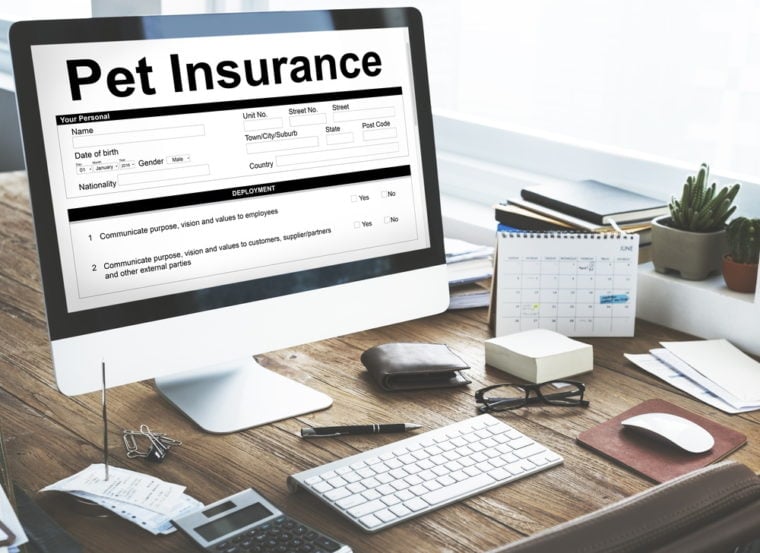 pet insurance document form