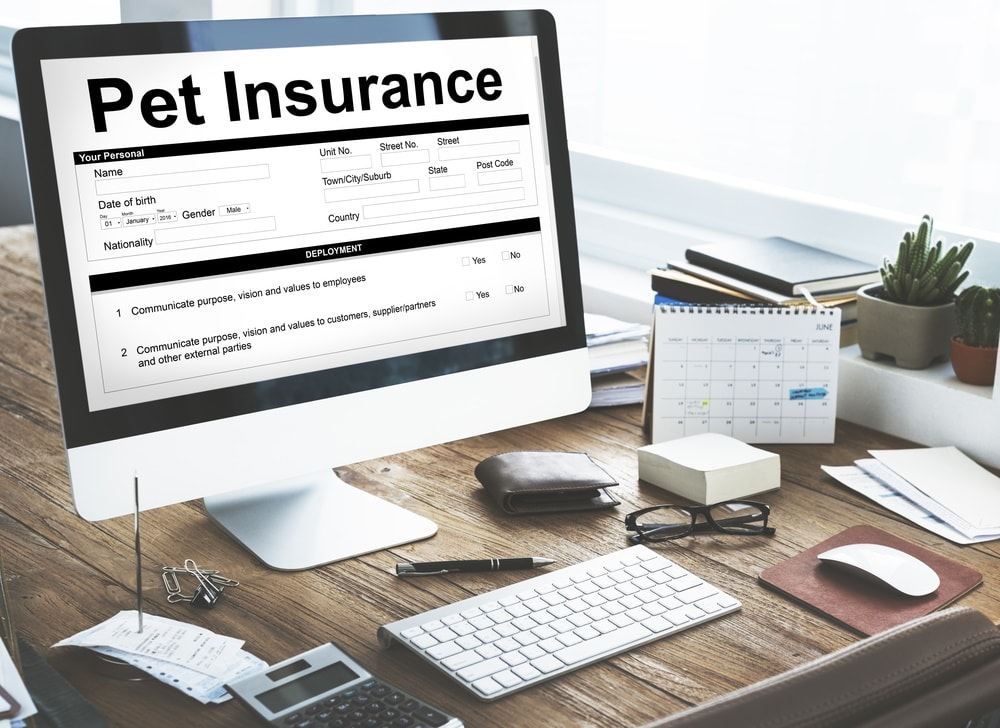 pet insurance documento form