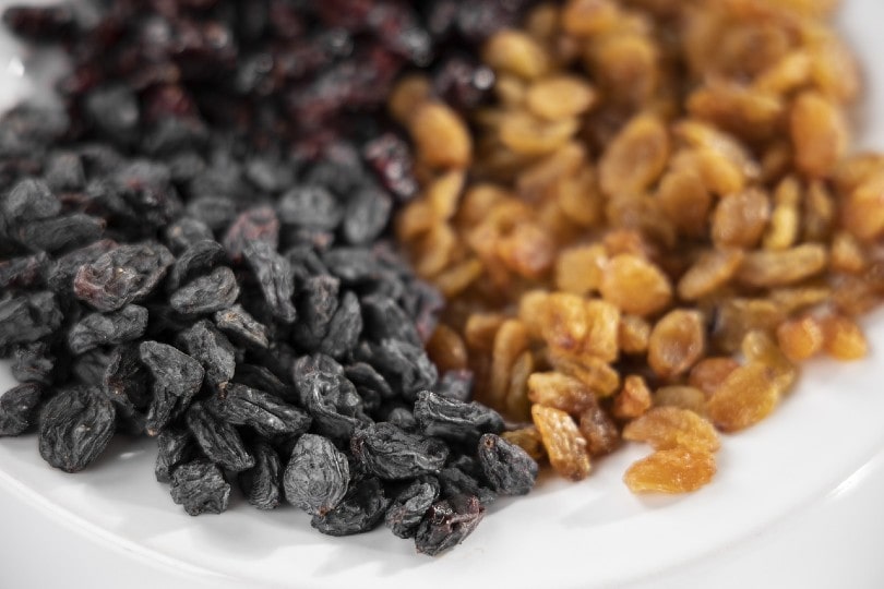 raisins on a plate