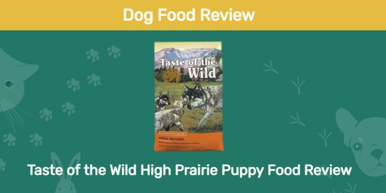 taste of the wild dog food review
