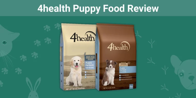 4health Puppy Food Review - Featured Image