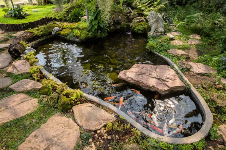 A DIY fish pond