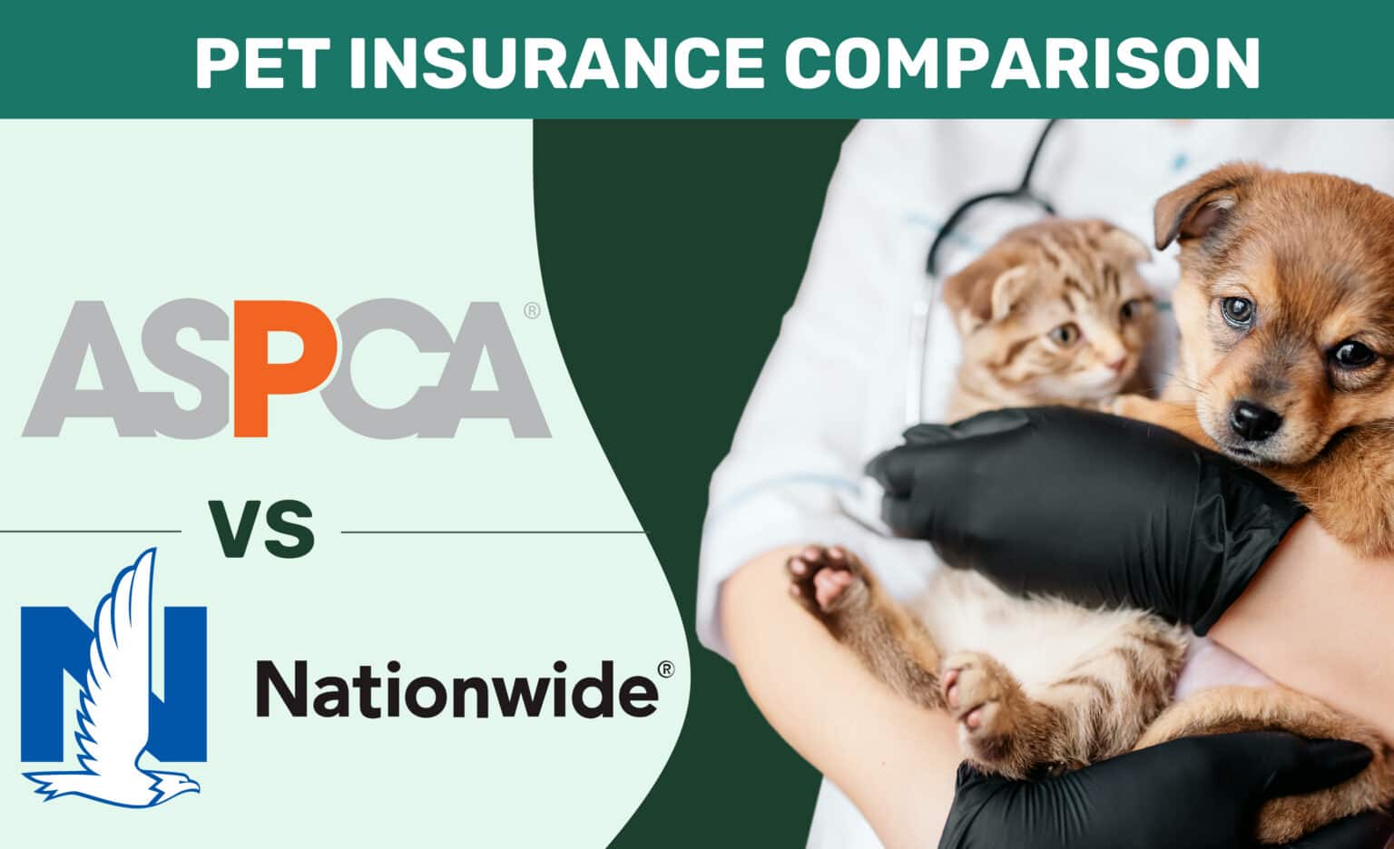 ASPCA vs Nationwide Pet Insurance Comparison 2024 Pros, Cons