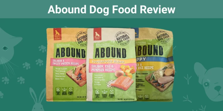 Abound Dog Food Review - Featured Image