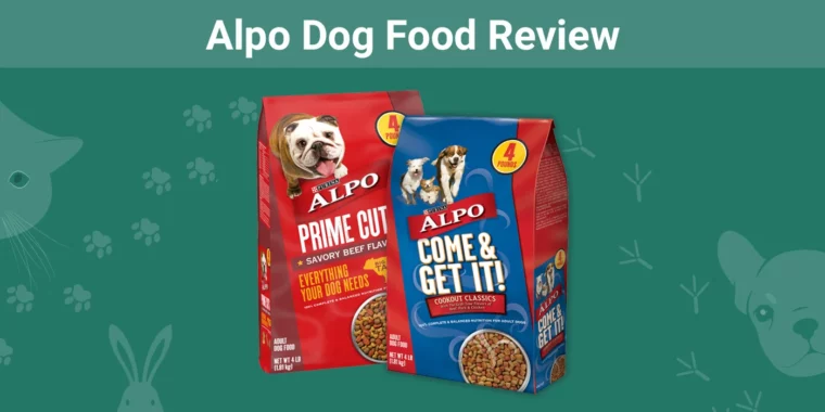 Alpo Dog Food Review - Featured Image
