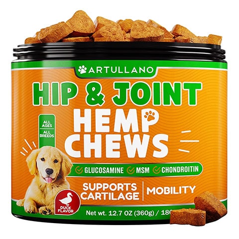 8 Best CBD Treats for Dogs With Arthritis in 2024 – Reviews & Top Picks ...
