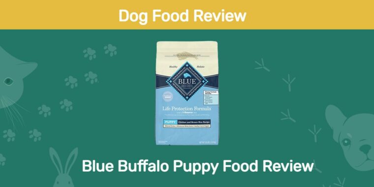 Revisión de comida para cachorros de búfalo azul
