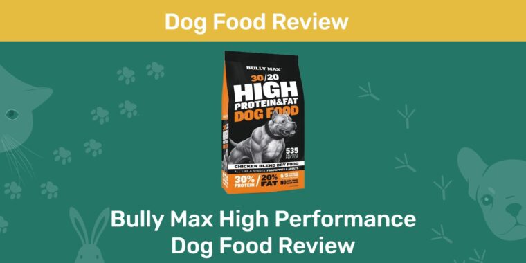 Bully Max High Performance Dog Food Review