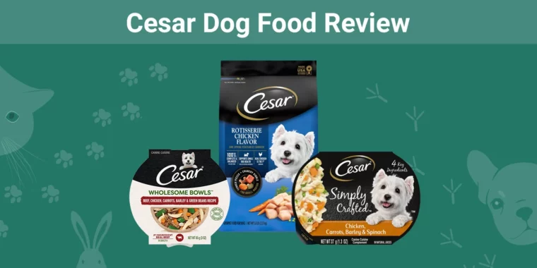 Cesar Dog Food - Featured Image