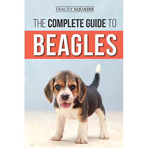 Complete Guide to Beagles
