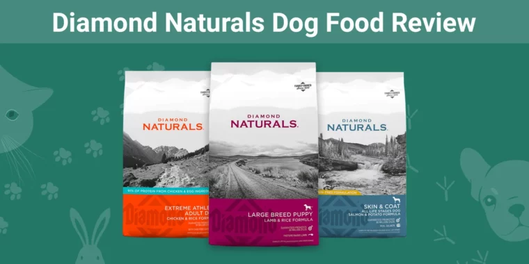 Diamond Naturals Dog Food - Featured Image