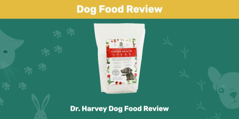 Dr. Harvey Dog Food Review 2