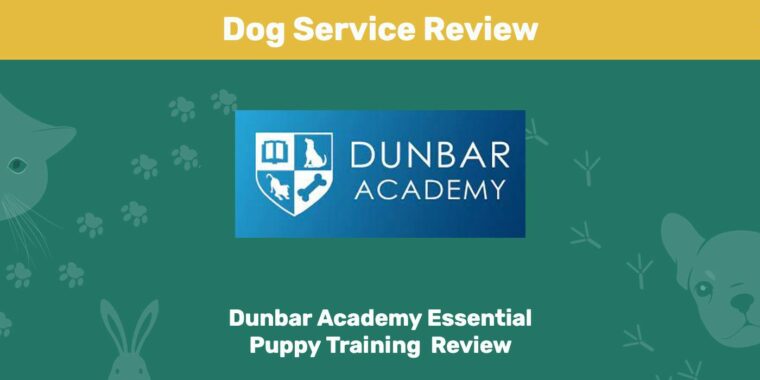 Dunbar Academy Essential Puppy Training