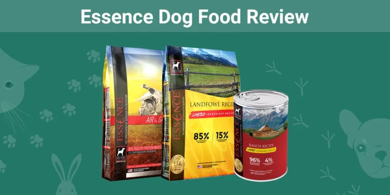 Essence Dog Food - Featured Image